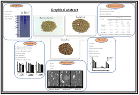 Graphical abstract: Elucidating the physical, morphometric, nutritional, and bioactive properties of selected highland crops viz. hull-less barley, buckwheat, and black rice for novel food formulation