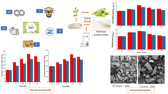 Graphical abstract: Modifications of physicochemical, functional, structural, and nutritional properties of a field bean protein isolate obtained using batch and continuous ultrasound systems