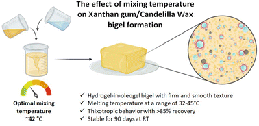 Graphical abstract: The effect of preparation temperature and composition on bigel performance as fat replacers