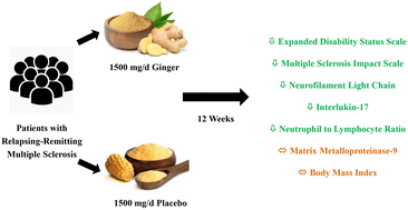 Graphical abstract: The effect of ginger (Zingiber officinale) supplementation on clinical, biochemical, and anthropometric parameters in patients with multiple sclerosis: a double-blind randomized controlled trial