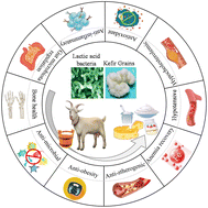 Graphical abstract: Health potential of fermented goat dairy products: composition comparison with fermented cow milk, probiotics selection, health benefits and mechanisms