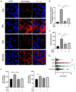 Graphical abstract: An aqueous olive leaf extract (OLE) ameliorates parameters of oxidative stress associated with lipid accumulation and induces lipophagy in human hepatic cells
