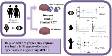 Graphical abstract: Impacts of regular consumption of grapes on macular pigment accumulation in Singapore older adults: a randomized controlled trial
