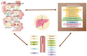 Graphical abstract: Effects of dietary supplementation of fish oil plus vitamin D3 on gut microbiota and fecal metabolites, and their correlation with nonalcoholic fatty liver disease risk factors: a randomized controlled trial