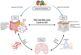 Graphical abstract: From gut to skin: exploring the potential of natural products targeting microorganisms for atopic dermatitis treatment