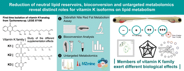 Graphical abstract: Reduction of neutral lipid reservoirs, bioconversion and untargeted metabolomics reveal distinct roles for vitamin K isoforms on lipid metabolism