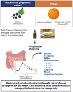 Graphical abstract: Acute effects of drinks containing blackcurrant and citrus (poly)phenols and dietary fibre on postprandial glycaemia, gut hormones, cognitive function and appetite in healthy adults: two randomised controlled trials