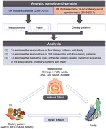 Graphical abstract: Dietary patterns, metabolomics and frailty in a large cohort of 120 000 participants