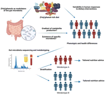 Graphical abstract: (Poly)phenol-related gut metabotypes and human health: an update