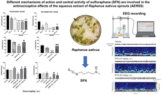 Graphical abstract: Antinociceptive effects of Raphanus sativus sprouts involve the opioid and 5-HT1A serotonin receptors, cAMP/cGMP pathways, and the central activity of sulforaphane