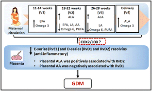 Graphical abstract: Fatty acids and their metabolites (resolvins) are altered in women with gestational diabetes mellitus (GDM)