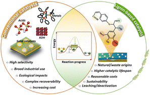 Graphical abstract: Current approaches, emerging developments and functional prospects for lignin-based catalysts – a review