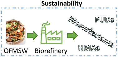 Graphical abstract: Techno-economic evaluation and life cycle assessment for sustainable alternative biorefinery concepts using the organic fraction of municipal solid waste