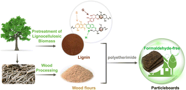 Graphical abstract: A facile strategy to fabricate a lignin-based thermoset alternative to formaldehyde-based wood adhesives