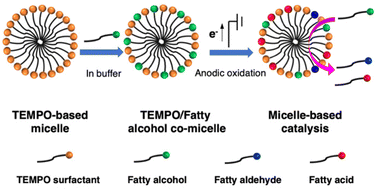 Graphical abstract: Nitroxide radical surfactants enable electrocatalytic oxidation of fatty alcohols in water