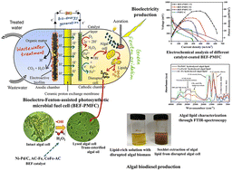 Graphical abstract: Efficient algal lipid extraction via a green bio-electro-Fenton process and its conversion into biofuel and bioelectricity with concurrent wastewater treatment in a photosynthetic microbial fuel cell