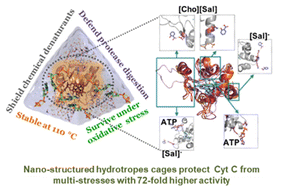 Graphical abstract: Nano-structured hydrotrope-caged cytochrome c with boosted stability in harsh environments: a molecular insight