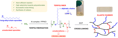 Graphical abstract: Novel elastic rubbers from CO2-based polycarbonates