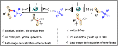 Graphical abstract: Electrochemical N-acylation and N-α-ketoacylation of sulfoximines via the selective decarboxylation and dehydration of α-ketoacids