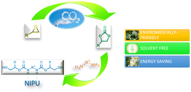 Graphical abstract: CO2-derived non-isocyanate polyurethanes (NIPUs) and their potential applications