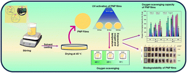 Graphical abstract: Ultra-violet light-driven green oxygen scavenging composite made of PVA/NRL for active packaging: an alternative to metallic oxygen scavengers
