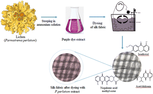 Graphical abstract: Sustainable dyeing of silk using an acetylshikonin-based natural colourant from the lichen Parmotrema perlatum