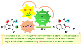 Graphical abstract: Iron-catalyzed regioselective C–H alkylation of indoles: an additive-free approach in renewable solvent