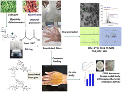 Graphical abstract: Galactomannan crosslinking with a green plasticizer malonic acid and its biomedical applications