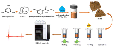 Graphical abstract: Facile and green synthesis of a hydrophilic imprinted resin in a deep eutectic solvent–water medium for the specific molecular recognition of tumor biomarkers in complex biological matrices