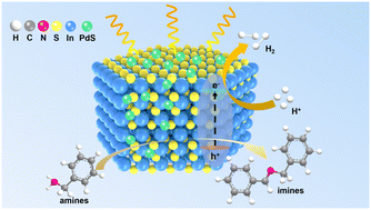Graphical abstract: Cocatalyst-modified In2S3 photocatalysts for C–N coupling of amines integrated with H2 evolution
