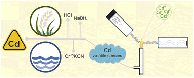 Graphical abstract: Chemical vapour generation assisted by Cr3+/KCN coupled to atomic fluorescence spectrometry for ultrasensitive determination of cadmium in water and rice samples