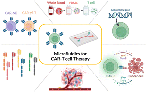 Graphical abstract: Expanding CAR-T cell immunotherapy horizons through microfluidics