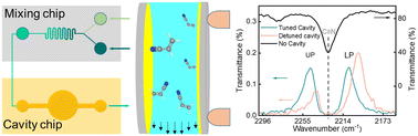 Graphical abstract: Piezoelectric and microfluidic tuning of an infrared cavity for vibrational polariton studies