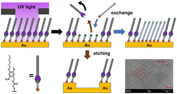 Graphical abstract: Enhancement of replacement lithography by combination of photocleavable groups with ultrashort thiolates