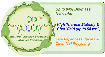 Graphical abstract: High-performance polyimine vitrimers from an aromatic bio-based scaffold