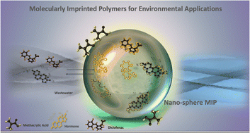 Graphical abstract: Application of molecularly imprinted polymers (MIPs) as environmental separation tools