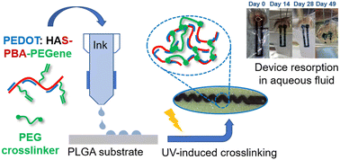 Graphical abstract: A cross-linkable and resorbable PEDOT-based ink using a hyaluronic acid derivative as dopant for flexible bioelectronic devices
