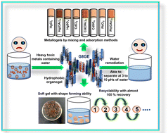 Graphical abstract: Design and synthesis of hydrophobic mixed organogels with complementary hydrogen-bond donor–acceptor sites: removal of heavy metal ions Hg2+, Cd2+ and Pb2+ from aqueous solution