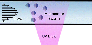 Graphical abstract: Upstream mobility and swarming of light activated micromotors