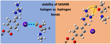 Graphical abstract: In vivo stability of 211At-radiopharmaceuticals: on the impact of halogen bond formation
