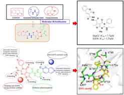 Graphical abstract: Coumarin–furo[2,3-d]pyrimidone hybrid molecules targeting human liver cancer cells: synthesis, anticancer effect, EGFR inhibition and molecular docking studies