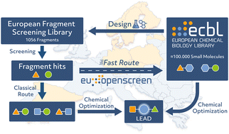 Graphical abstract: Design, quality and validation of the EU-OPENSCREEN fragment library poised to a high-throughput screening collection