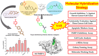 Graphical abstract: Design and synthesis of novel chloropyridazine hybrids as promising anticancer agents acting by apoptosis induction and PARP-1 inhibition through a molecular hybridization strategy
