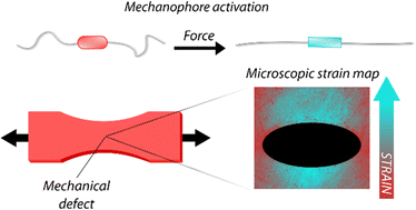 Graphical abstract: Microscopic strain mapping in polymers equipped with non-covalent mechanochromic motifs