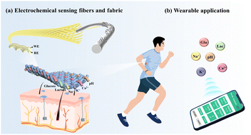 Graphical abstract: Hierarchical Fermat helix-structured electrochemical sensing fibers enable sweat capture and multi-biomarker monitoring