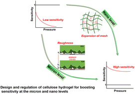 Graphical abstract: Rationally designed cellulose hydrogel for an ultrasensitive pressure sensor