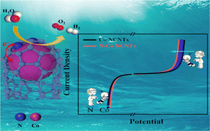 Graphical abstract: Anion-induced electronic localization and polarized cobalt clusters for highly efficient water splitting