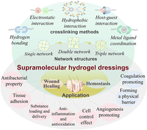 Graphical abstract: Supramolecular hydrogels for wound repair and hemostasis