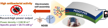 Graphical abstract: Facile surface functionalization of triboelectric layers via electrostatically self-assembled zwitterionic molecules for achieving efficient and stable antibacterial flexible triboelectric nanogenerators