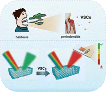 Graphical abstract: A structural color hydrogel for diagnosis of halitosis and screening of periodontitis